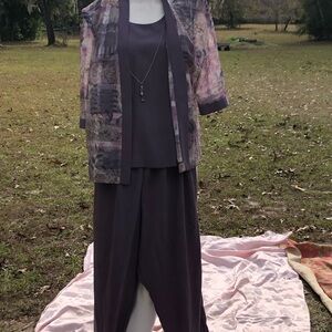 r m richards plus size 16 WP Slacks And Blouse. Lilac